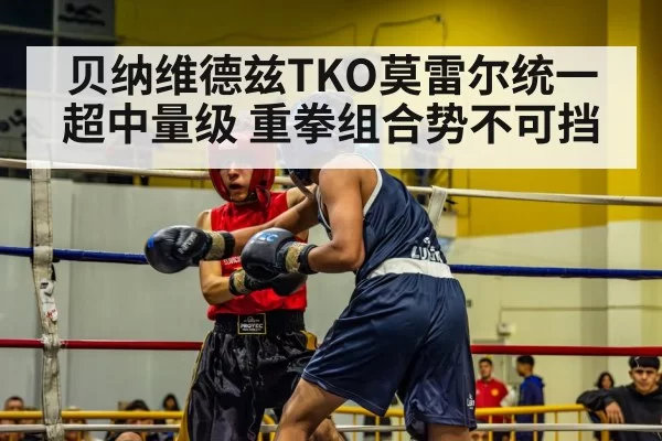 boxing match action（jiuyou）